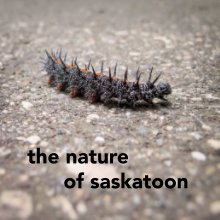 the nature of saskatoon book cover