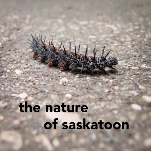 View the nature of saskatoon by Andrew McKinlay