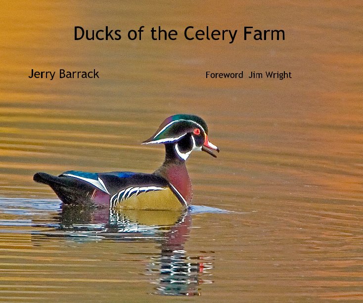 View Ducks of the Celery Farm by Jerry Barrack