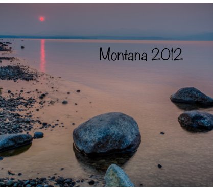 Montana 2012 book cover