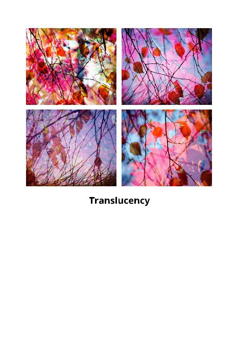 View Translucency by Jamie Blankenship