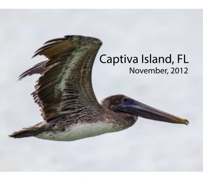 Captiva Island 2012 book cover