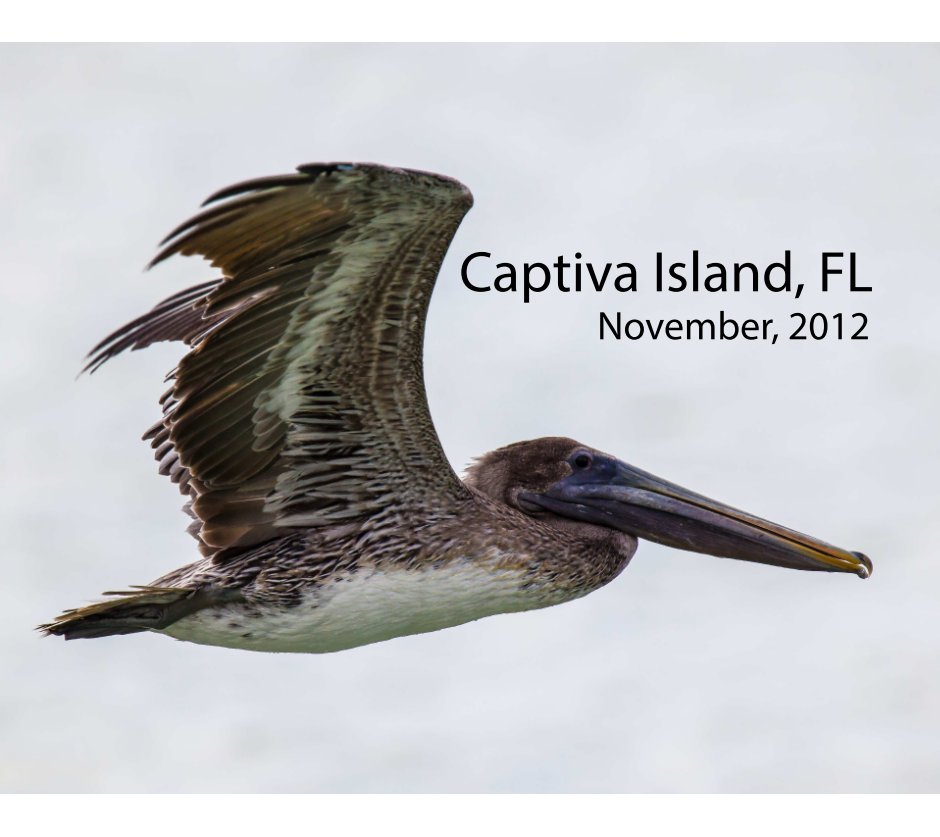 Ver Captiva Island 2012 por Dave Muller
