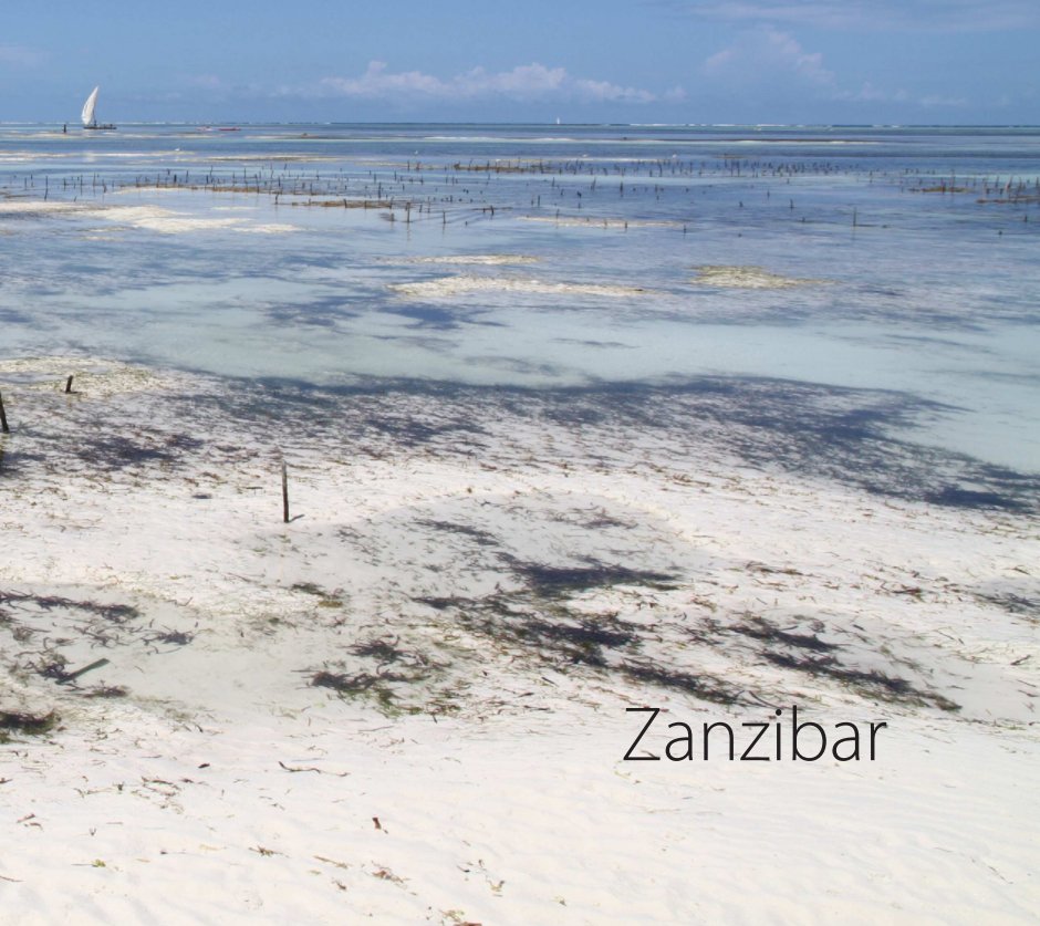 Ver Zanzibar por Margreet Borgman