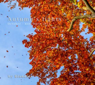 autumn's lights book cover