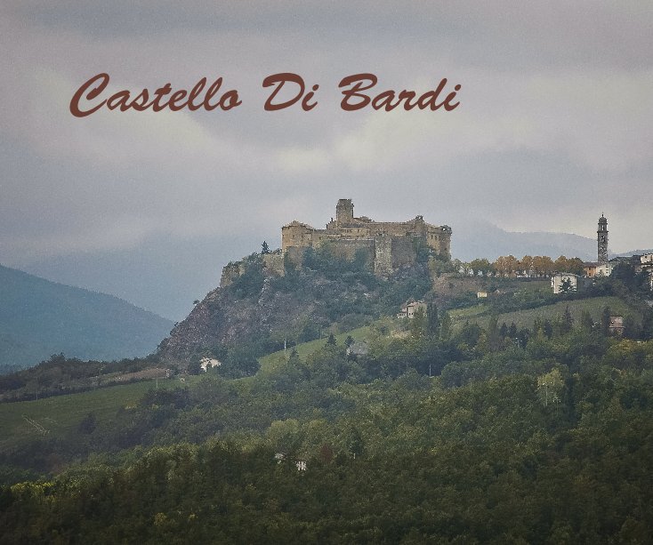 View Castello Di Bardi by Carl J Leonardi