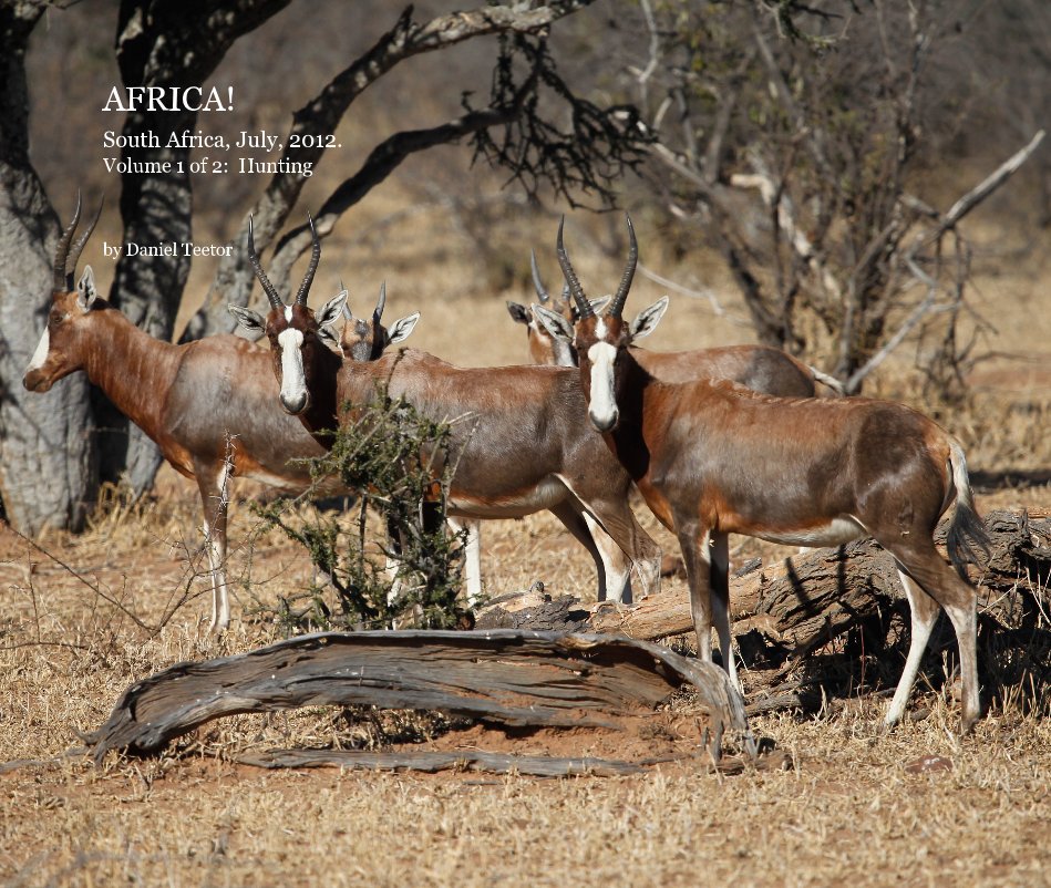 Visualizza AFRICA! South Africa, July, 2012. Volume 1 of 2: Hunting di Daniel Teetor