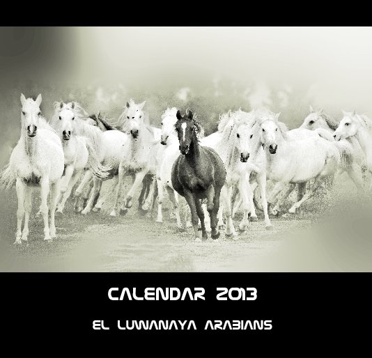 View Pferde-Kalenderbuch  2013
SOS-Notfall-Aktion by El Luwanaya Arabians
