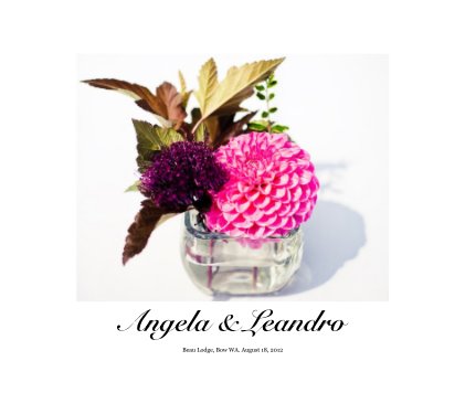 Angela & Leandro book cover