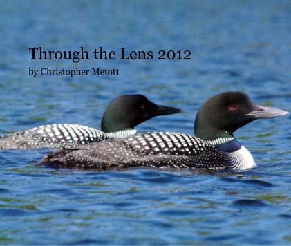 Through the Lens 2012 book cover