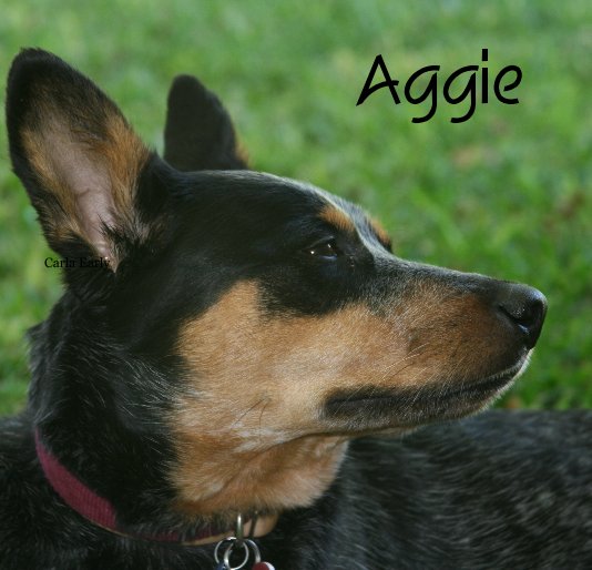 View Aggie by Carla Early