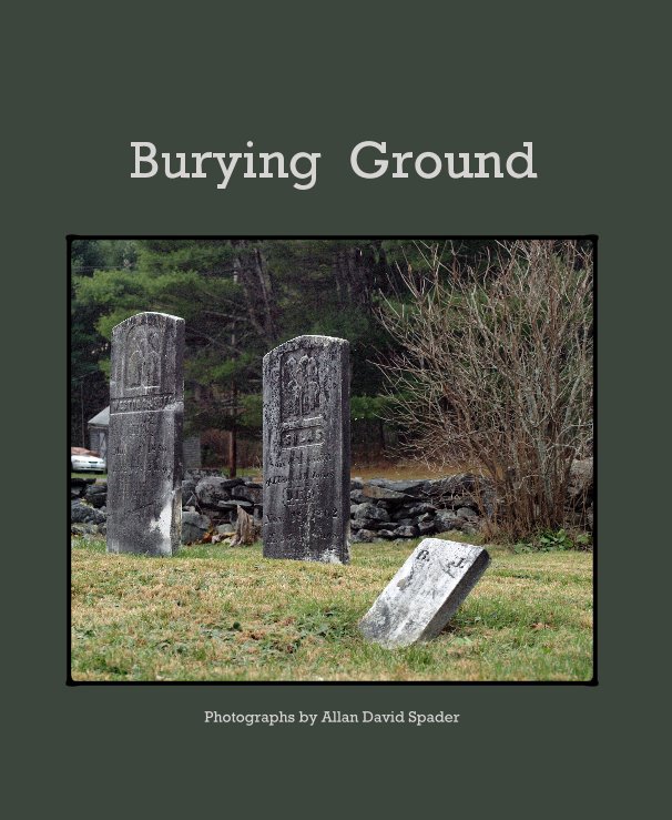 View Burying Ground by Allan David Spader