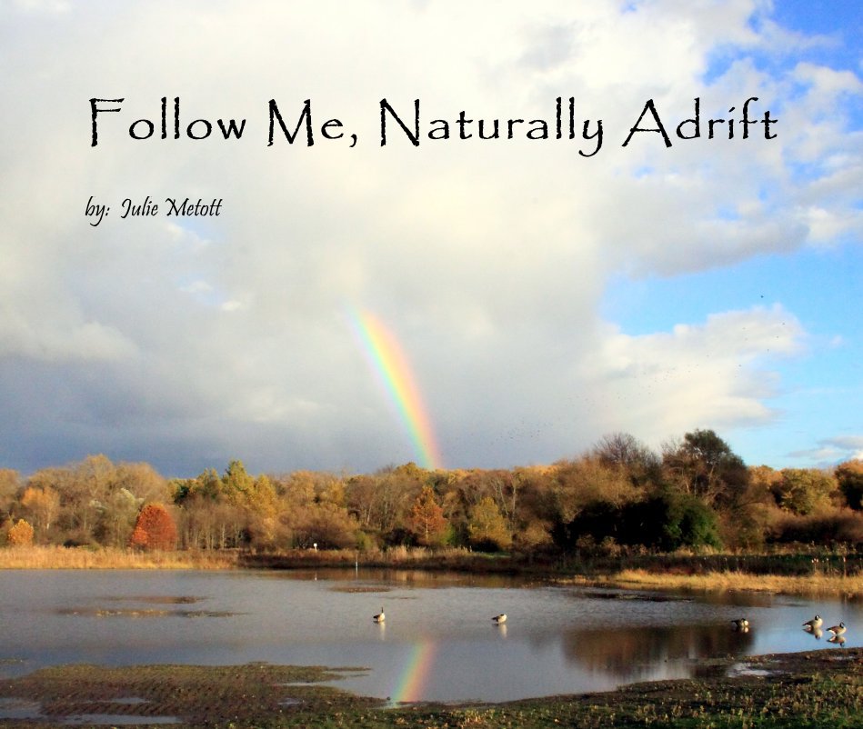 View Follow Me, Naturally Adrift by by: Julie Metott