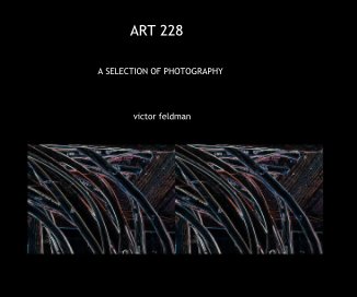 ART 228 book cover