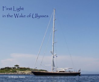 First Light in the Wake of Ulysses book cover