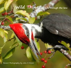 Wild Things: Life through the lens book cover