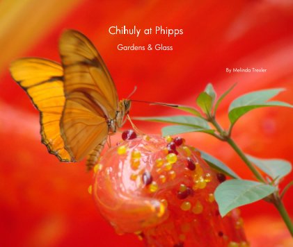 Chihuly at Phipps book cover