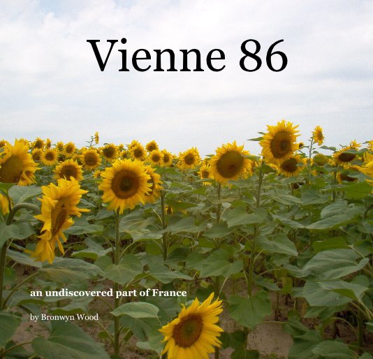 Visualizza Vienne 86 di Bronwyn Wood