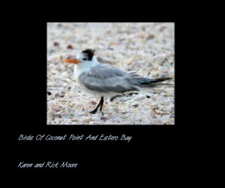 Birds Of Coconut Point And Estero Bay book cover