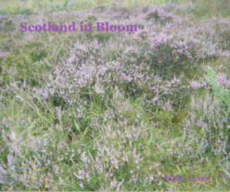 Scotland in Bloom book cover