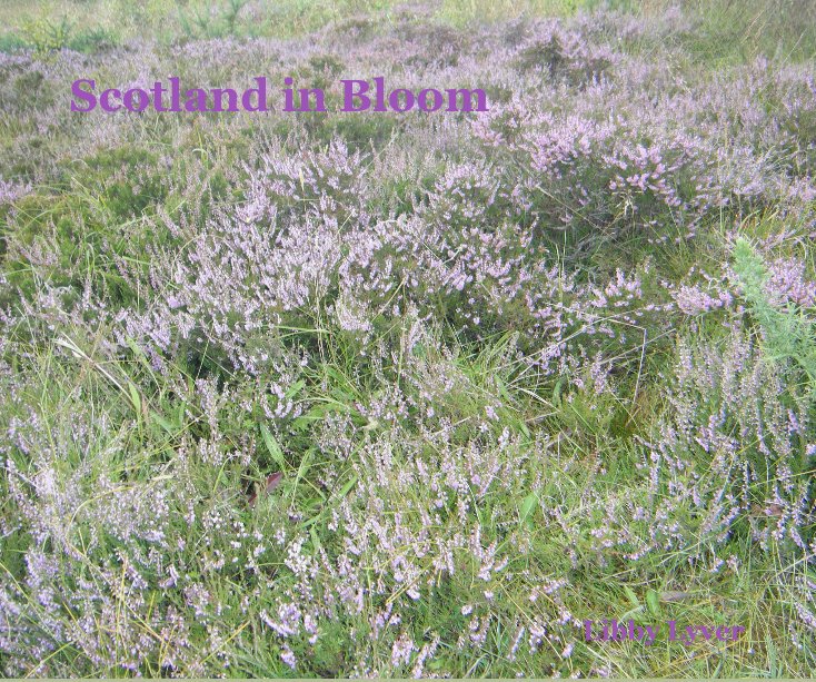 View Scotland in Bloom by Libby Lyver