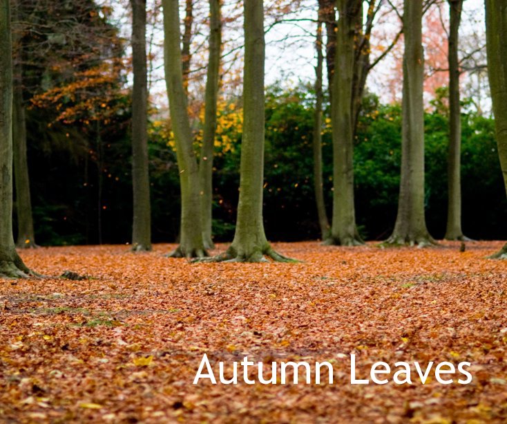 Ver Autumn Leaves por Rachele