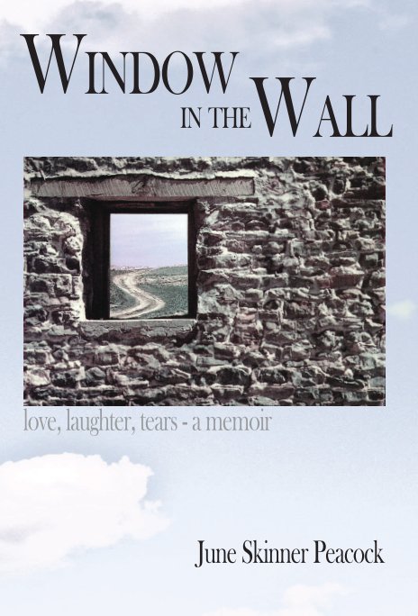 View Window In The Wall-(hardback) by June Peacock