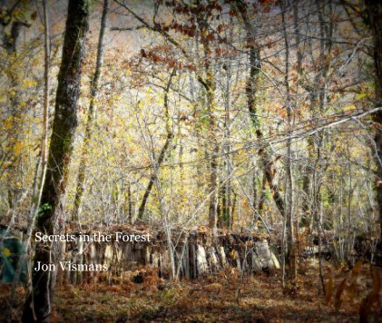 Secrets in the Forest Jon Vismans book cover