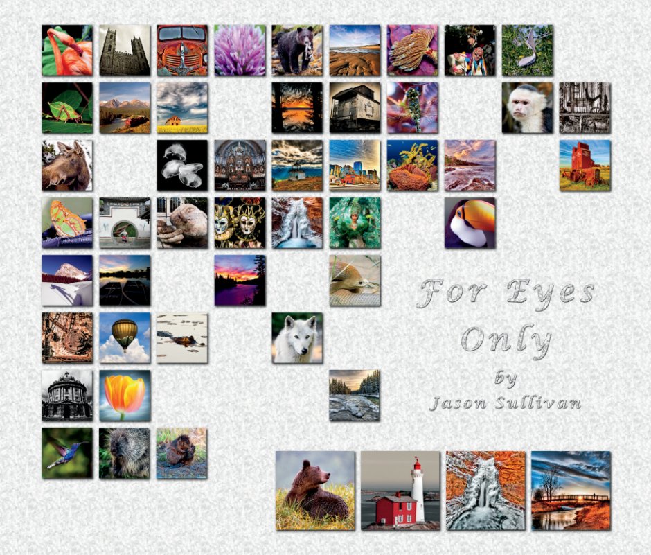 Visualizza For Eyes Only di Jason Sullivan