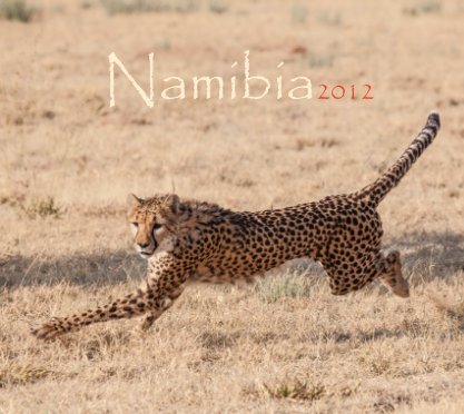 Namibia 2012 book cover