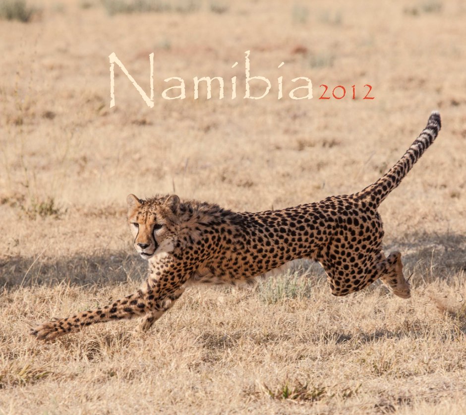 View Namibia 2012 by Jan-Uwe Reichert