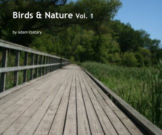 Birds & Nature Vol. 1 book cover