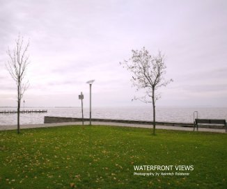 Waterfront Views book cover