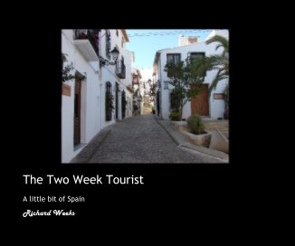 The Two Week Tourist book cover