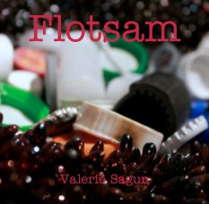 Flotsam book cover