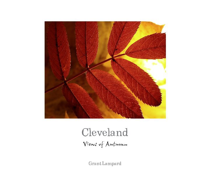 View Cleveland by Grant Lampard