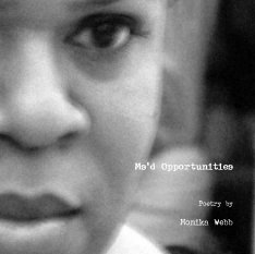 Ms'd Opportunities book cover