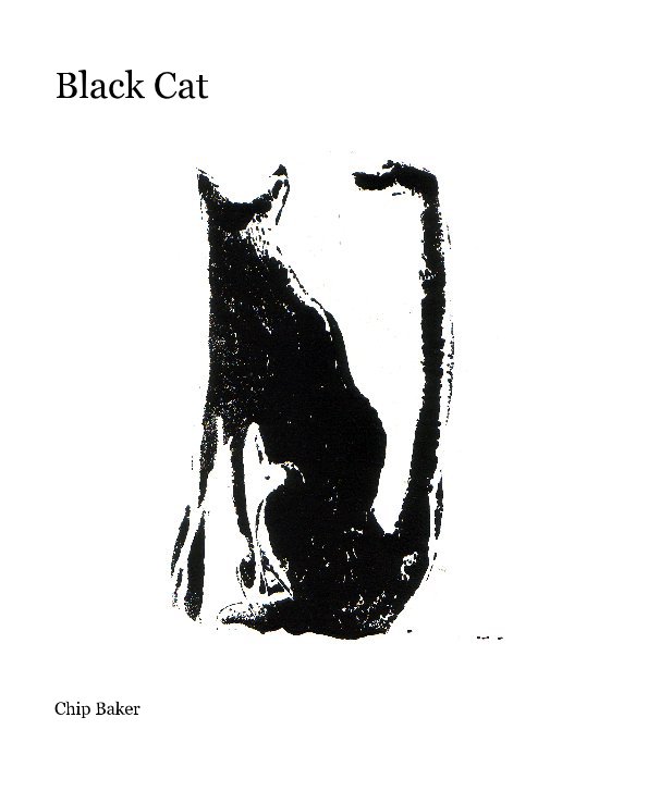 View Black Cat by Chip Baker