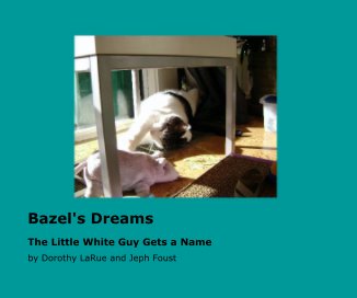 Bazel's Dreams book cover