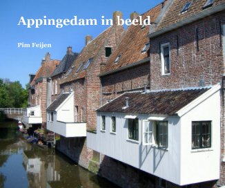 Appingedam in beeld book cover