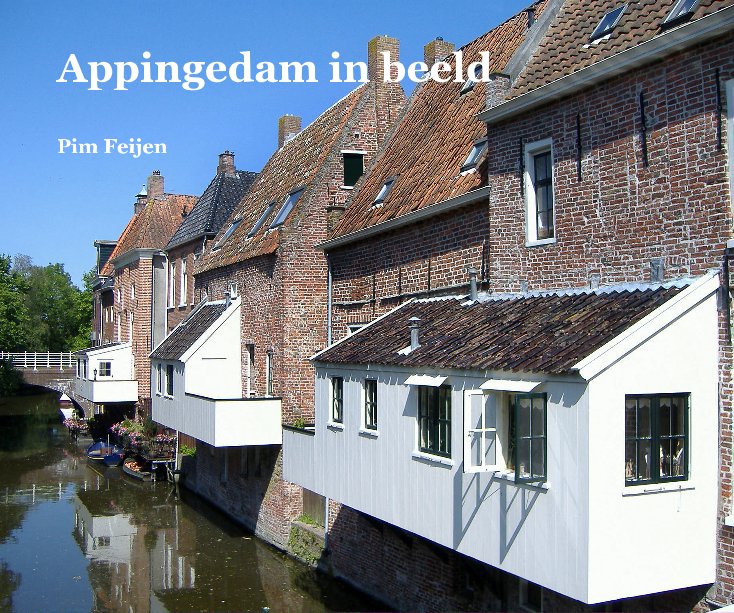 View Appingedam in beeld by Pim Feijen