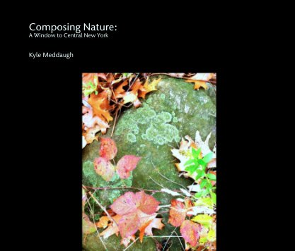 Composing Nature:
A Window to Central New York book cover
