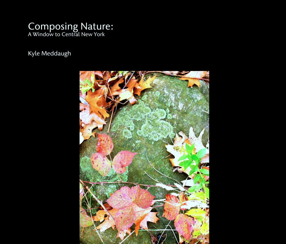 View Composing Nature:
A Window to Central New York by Kyle Meddaugh