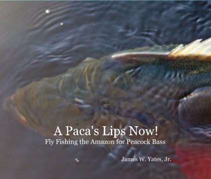 A Paca's Lips Now! Fly Fishing the Amazon for Peacock Bass book cover