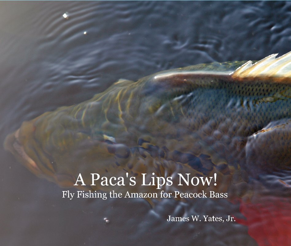 Visualizza A Paca's Lips Now! Fly Fishing the Amazon for Peacock Bass di James W. Yates, Jr.