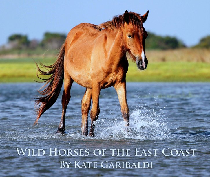 Ver Wild Horses of the East Coast por Kate Garibaldi