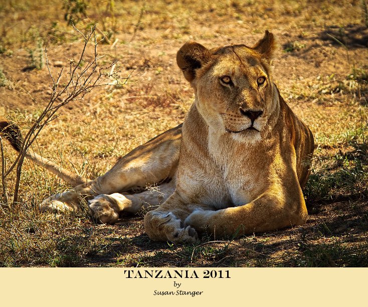 View Tanzania 2011 by By: Susan Stanger
