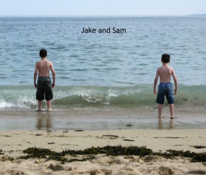 Jake and Sam book cover
