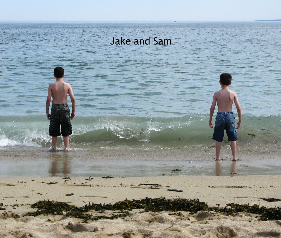 Visualizza Jake and Sam di GregM21