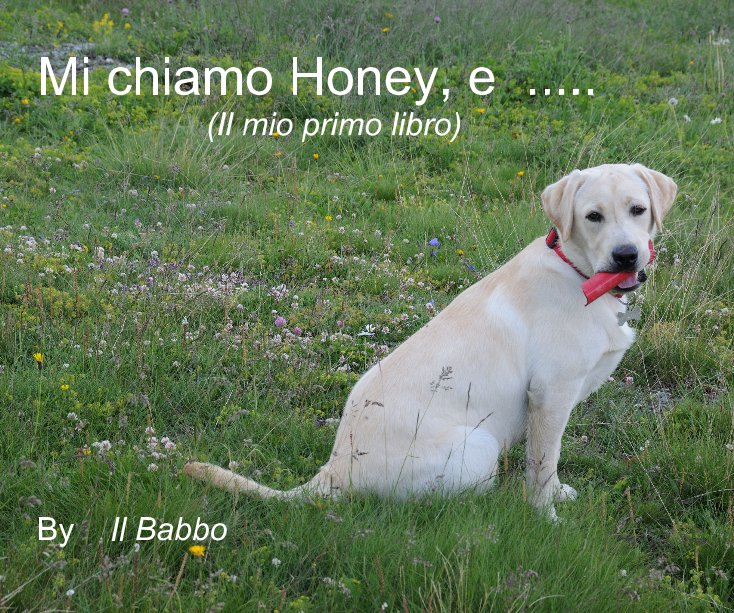 View Mi chiamo Honey, e ..... (Il mio primo libro) By Il Babbo by Il Babbo